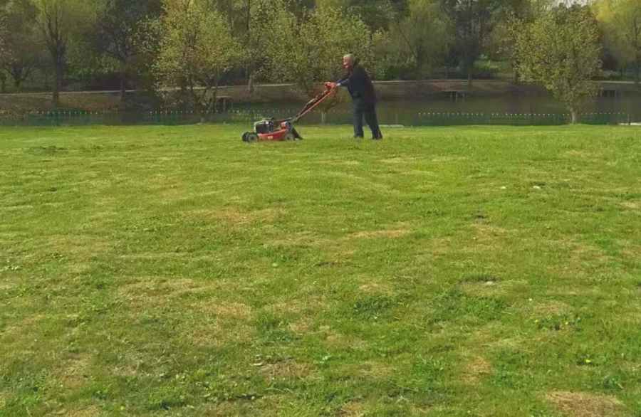 綠化養(yǎng)護(hù)(圖5)