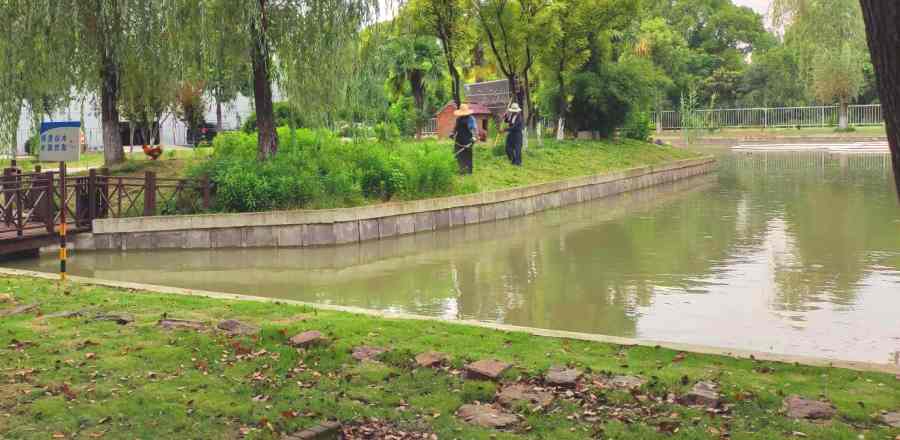 綠化養(yǎng)護(hù)(圖1)