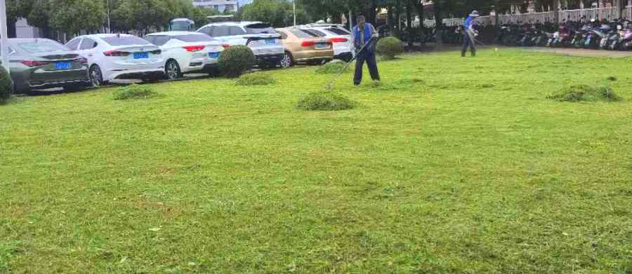 廠區(qū)綠化養(yǎng)護(hù)(圖2)