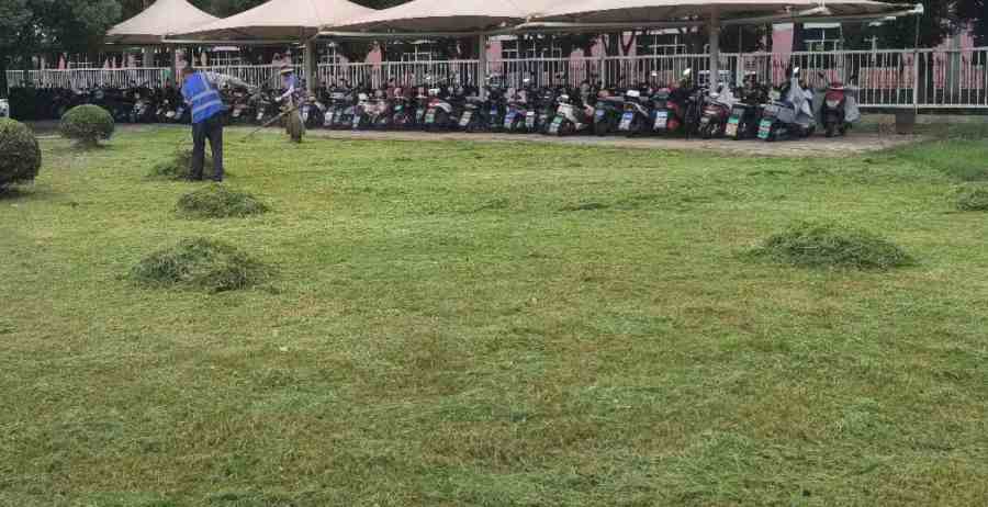 企事業(yè)單位綠化養(yǎng)護(hù)(圖2)