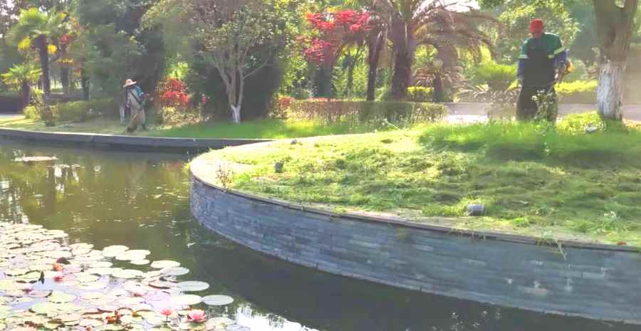 小區(qū)/住宅社區(qū)綠化養(yǎng)護(圖3)