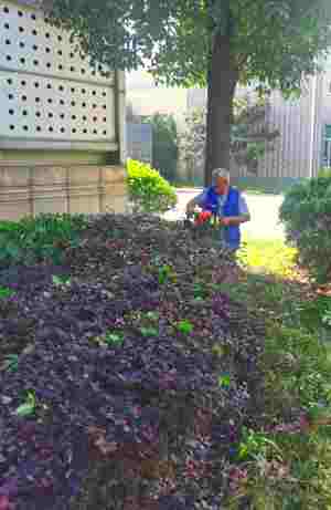 物業(yè)/開(kāi)發(fā)商綠地養(yǎng)護(hù)