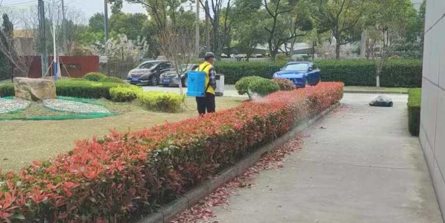 昆山開發(fā)商綠化養(yǎng)護 物業(yè)/開發(fā)商綠地養(yǎng)護(圖2)