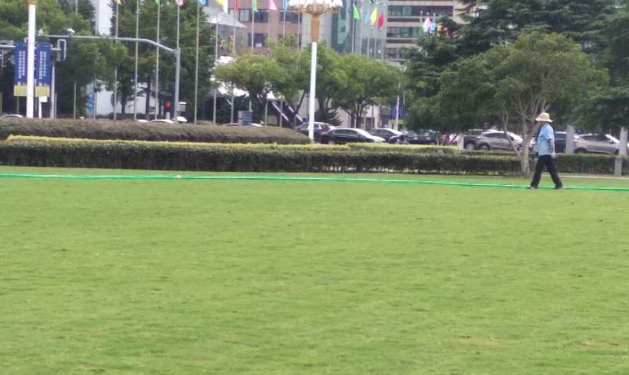 學校/醫(yī)院綠地養(yǎng)護(圖2)