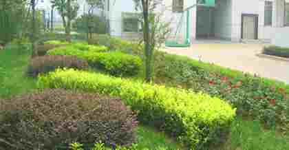 昆山綠化工程竣工驗(yàn)收備案：流程、要點(diǎn)與意義